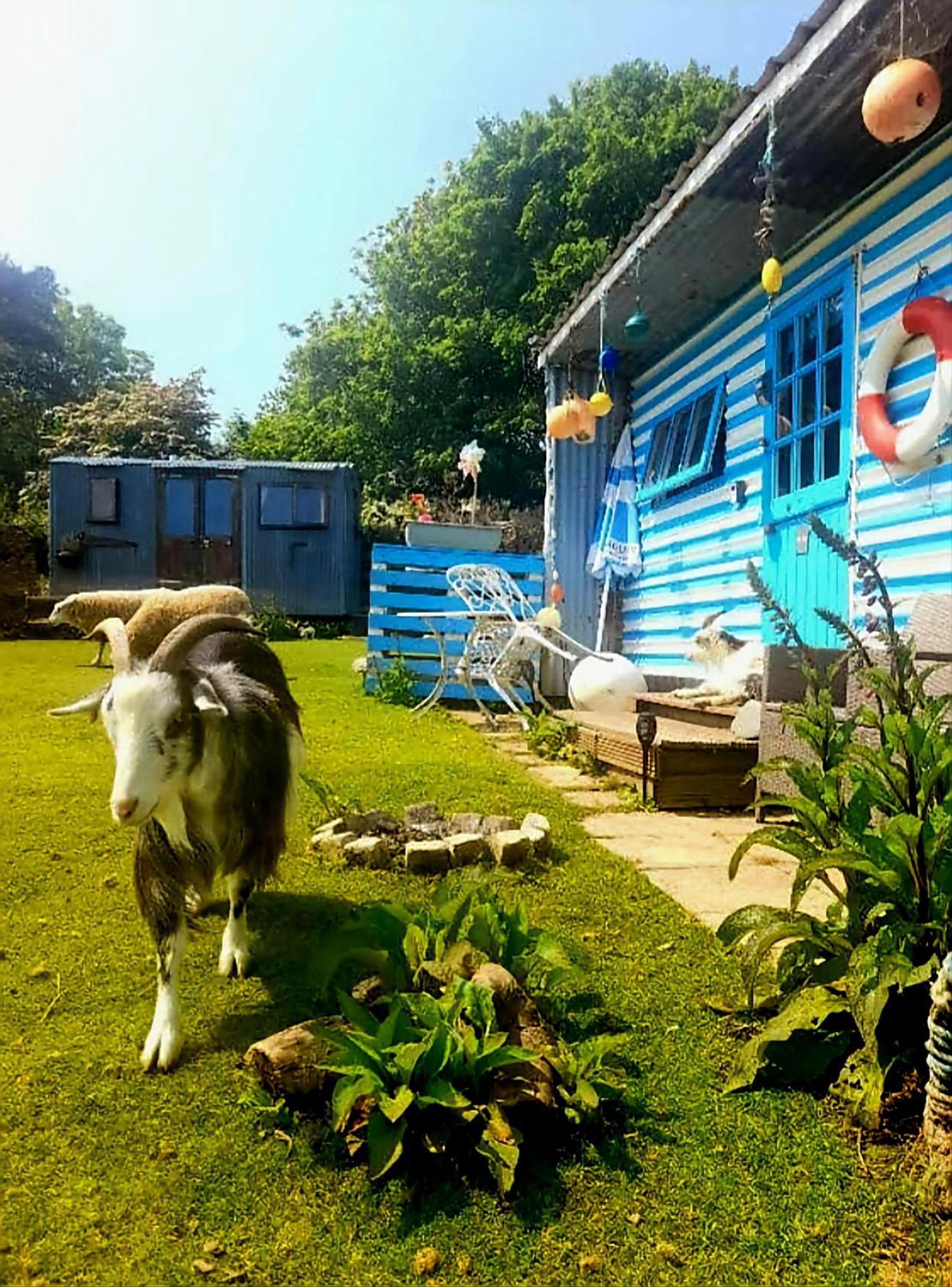 Hotel Treguth Glamping Unique Experience - Themed Huts Saint Day Exterior foto