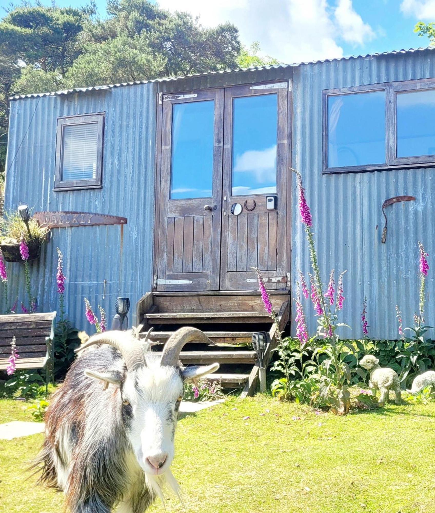 Hotel Treguth Glamping Unique Experience - Themed Huts Saint Day Exterior foto