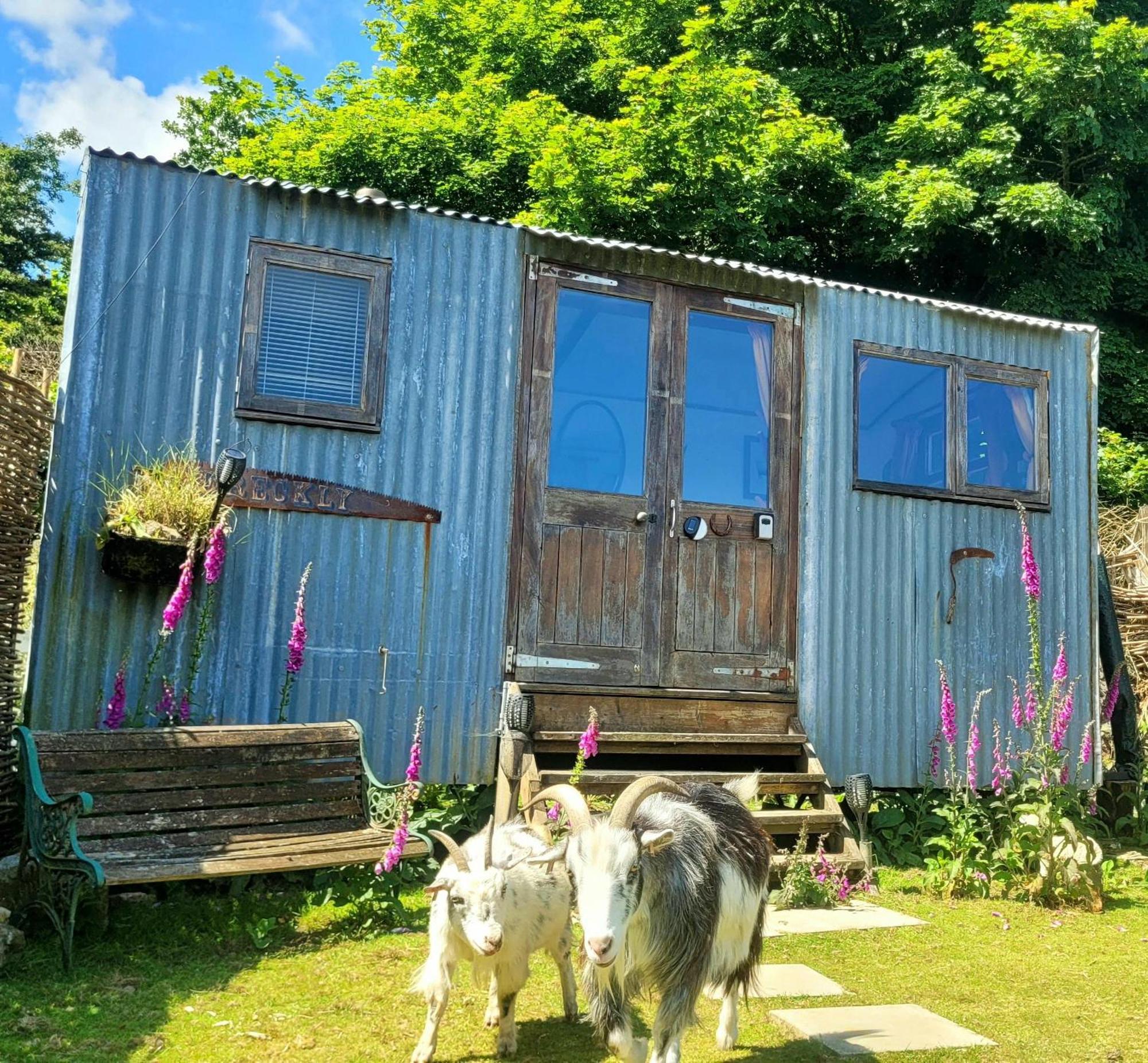 Hotel Treguth Glamping Unique Experience - Themed Huts Saint Day Exterior foto