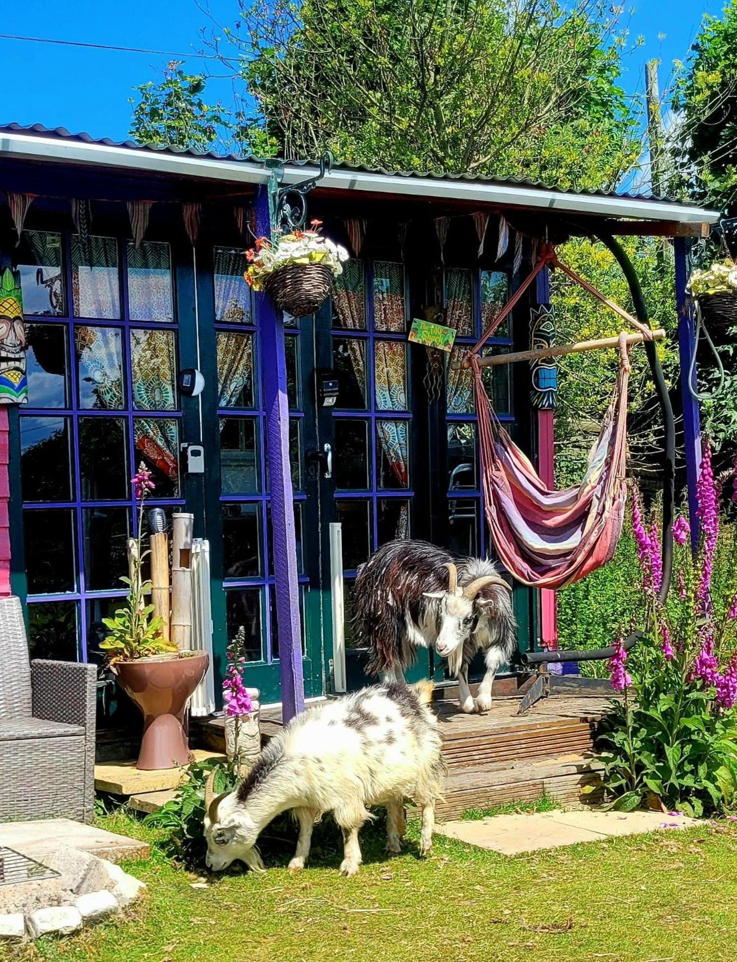 Hotel Treguth Glamping Unique Experience - Themed Huts Saint Day Exterior foto